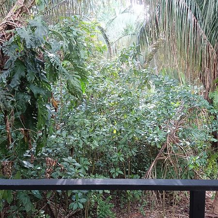 Selva Linda Lodge Vacation Rentals Quepos Eksteriør billede