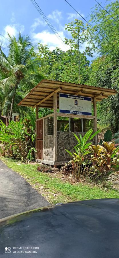 Selva Linda Lodge Vacation Rentals Quepos Eksteriør billede