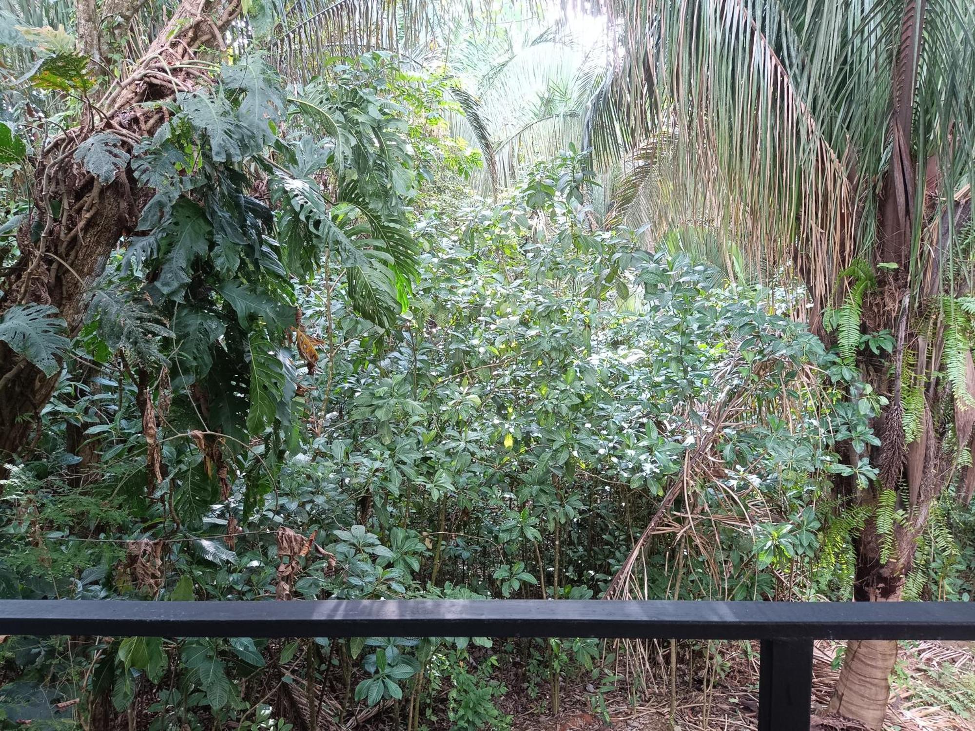 Selva Linda Lodge Vacation Rentals Quepos Eksteriør billede