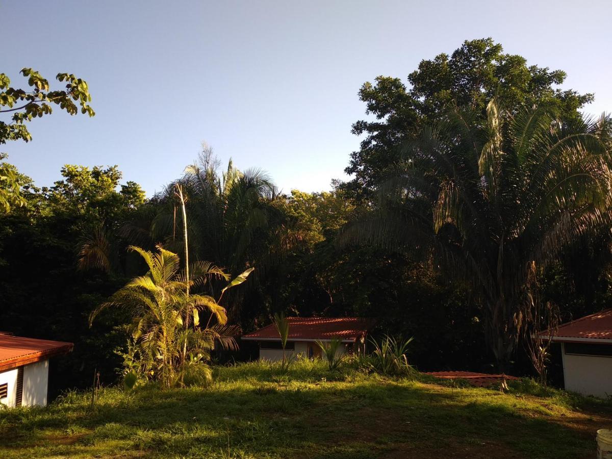 Selva Linda Lodge Vacation Rentals Quepos Eksteriør billede